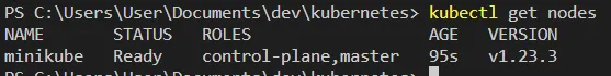 Fetching nodes should list the minikube node.